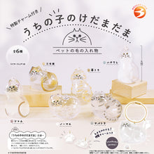 Brightlink Uchinoko No Kedamadama Blind Box Asst (Box Of 12) BL5755