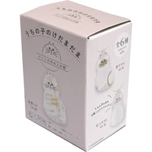 Brightlink Uchinoko No Kedamadama Blind Box Asst (Box Of 12) BL5755