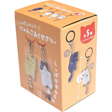 Brightlink Nyanko Accessories Blind Box Asst (Box Of 12) BL5915