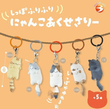 Brightlink Nyanko Accessories Blind Box Asst (Box Of 12) BL5915