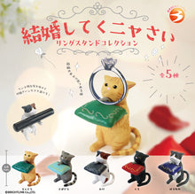 Brightlink Please Marry Me Ring Stand Collection Kekkon Shite Kunyasai (Box Of 12) BL5960