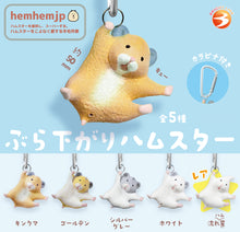 Brightlink Hanging Hamster Blind Box Asst (Box Of 12) BL5984