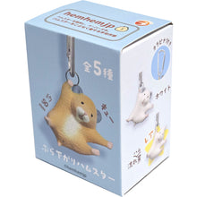 Brightlink Hanging Hamster Blind Box Asst (Box Of 12) BL5984